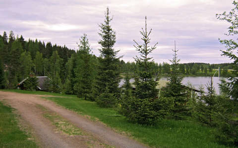 Finnország, erdő, faház, út, finn táj