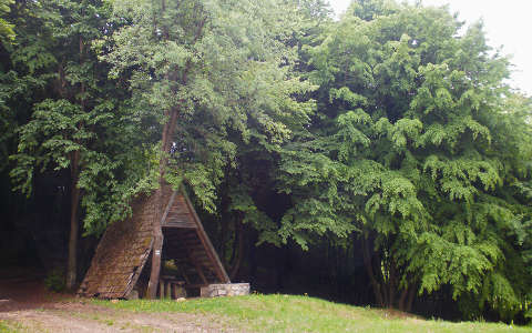 erdő ház