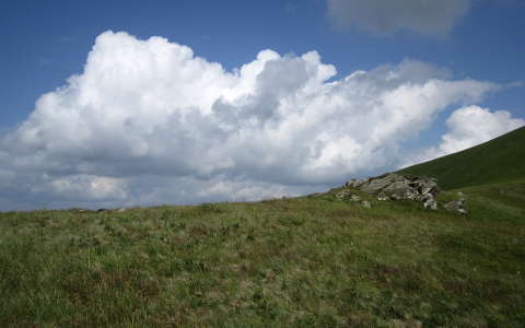 felhő