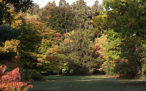 Szarvas- Arborétum. Fotó: Csonki