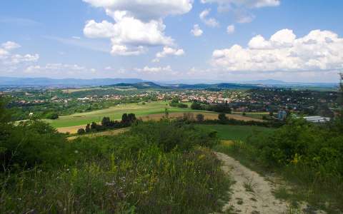 Mogyoród