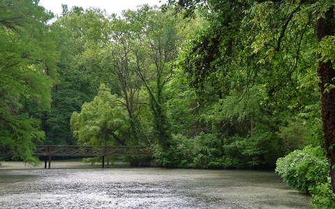 Alcsútdobozi Arborétum, Magyarország