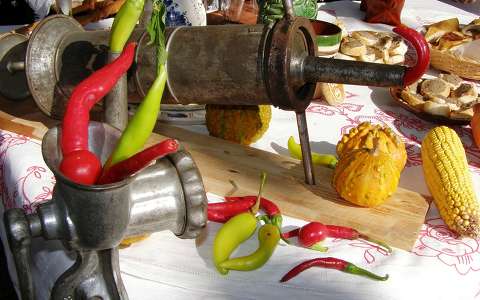 címlapfotó kukorica paprika termény