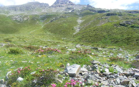 Silvretta-Bielerhöhe, Vorarlberg, Ausztria