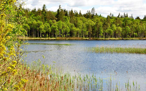 Ébredezik a természet Svédországban