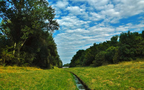 Fotó:Szolnoki Tibor