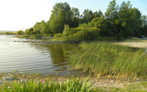 írország