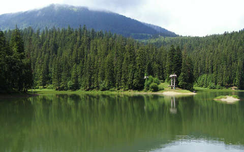 erdő hegy tó