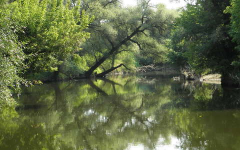 Sajó-folyó