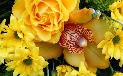 névnap és születésnap orchidea rózsa virágcsokor és dekoráció