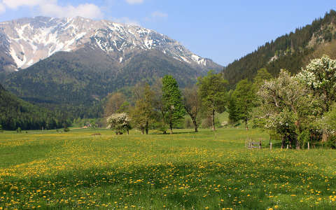 alpok ausztria