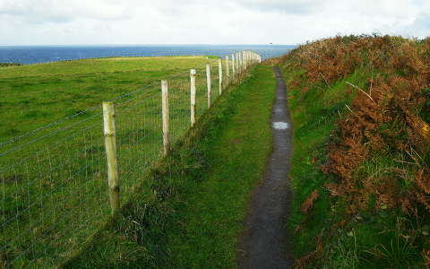 kerítés írország út