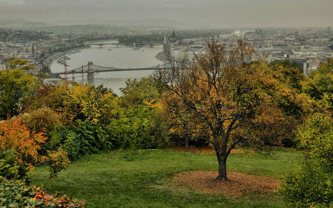 Budapest,Gellért-hegy 2013.10.14. Fotó:Szolnoki Tibor