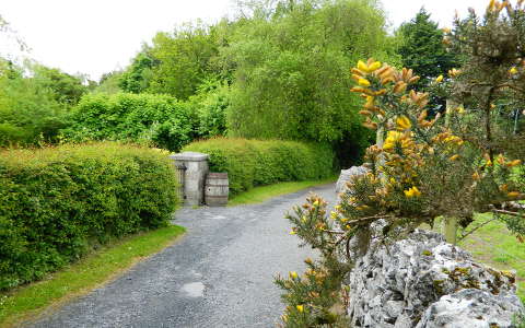 írország út
