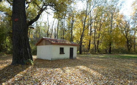 ház ősz