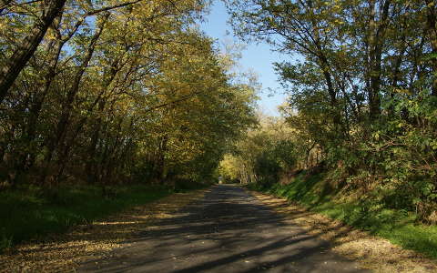út