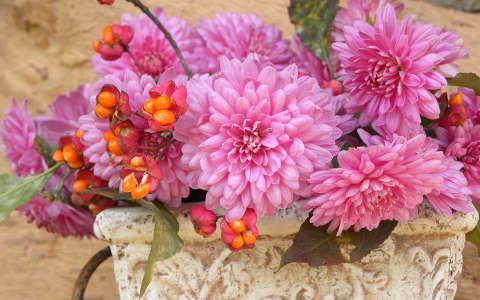 krizantém virágcsokor és dekoráció ősz