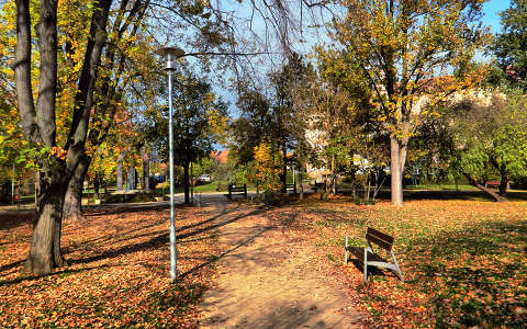 Fotó:Szolnoki Tibor 2013.10.30.