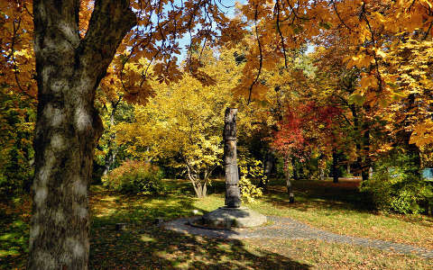 Fotó:Szolnoki Tibor 2013.10.13.