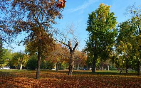Városliget, Budapest