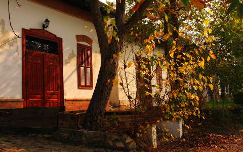 ajtó ház ősz