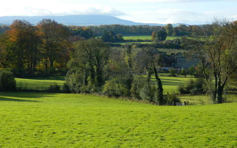 Írország