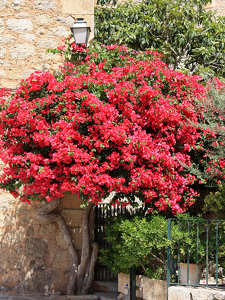 Mallorca