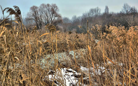 Fotó:Szolnoki Tibor 2013.01.15. Dynamic Photo HDR 5