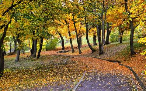 Fotó:Szolnoki Tibor 2013.10.14.