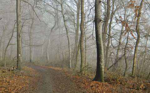 Fotó:Szolnoki Tibor-2013.12.28.