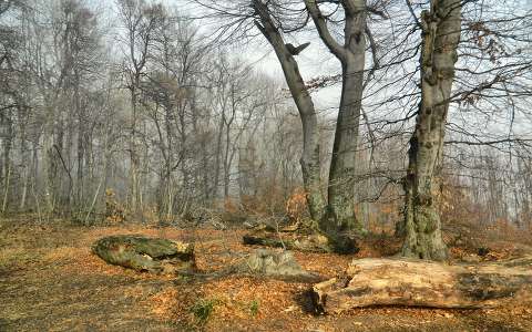 Fotó:Szolnoki Tibor-2013.12.28.