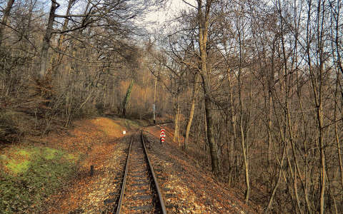 Fotó:Szolnoki Tibor-2013.12.29.