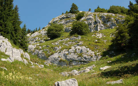 Szlovénia