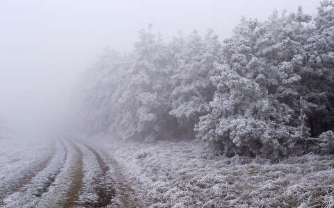 köd tél zúzmara út