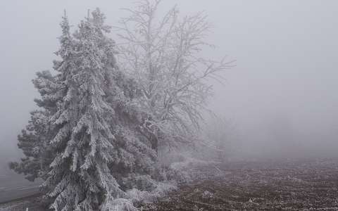 fa köd tél