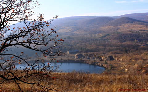 tó