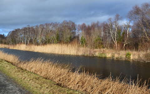 Írország
