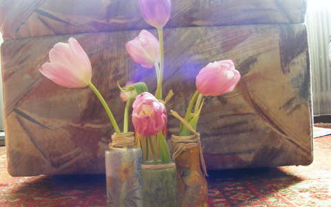 Tulipán