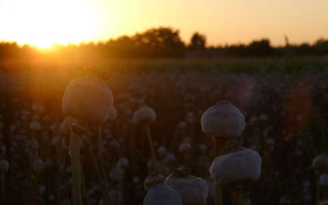 #countryside#sunset