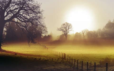 kerítés köd mező napfelkelte