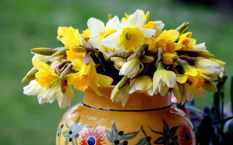 nárcisz tavaszi virág virágcsokor és dekoráció