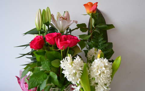jácint liliom névnap és születésnap rózsa