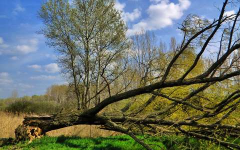 2014.04.03. Dynamic Phtot HDR 5, Fotó:Szolnoki Tibor