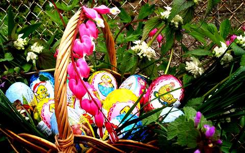 címlapfotó húsvét szívvirág tojás