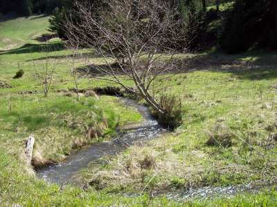 Tavasz