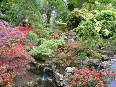 Keukenhof - Hollandia