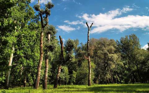 2014.06.22.-Vác,Dynamic Photo HDR 5, Fotó:Szolnoki Tibor