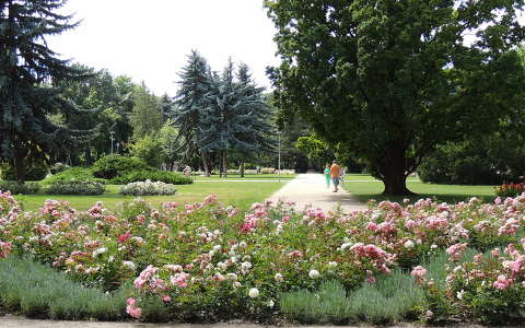 Budapest,Margitsziget,Rózsakert