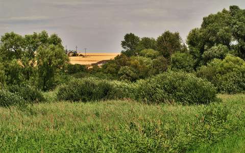 2014.07.05. Fotó:Szolnoki Tibor
