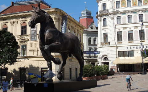 Pécs, Széchenyi tér, Leonardo da Vinci lószobra